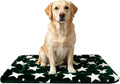 Dog Bed Mat,Reversible & Ultra Soft Kennel Pad-Machine Washable Pet Bed for Dogs & Cats-All-Weather Crate Liner for Crates,Carriers & Travel (Big Star&Green, 35.0" L x 23.0" W x 1.5" Th)