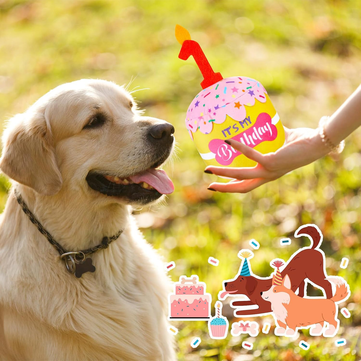Dansydaisy Dog Birthday Cake Toy Squeaky Plush Gift,1st,Pink and Yellow | Interactive Squeaky Gift for Dogs, Dog Birthday Decor , Soft Chew for Small Medium Large Pets, Cake Design with Candle