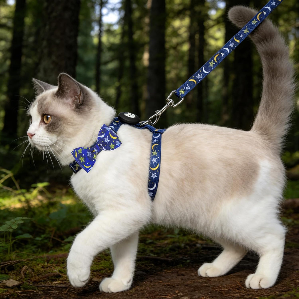 EXPAWLORER Cat Harness and Leash Set Escape Proof Vest with AirTag Holder
