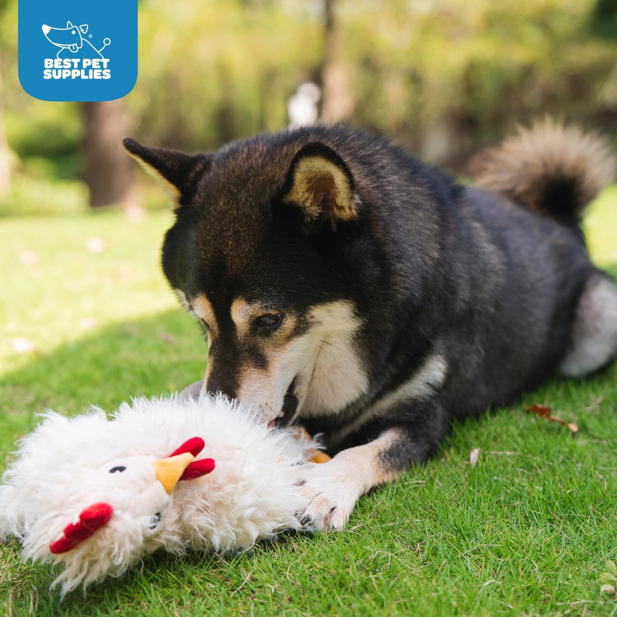 Best Pet Supplies Interactive Squeaky Dog Chew Toy, Ideal Dog Toys for Chewers, Small, Medium & Large Dogs, and Fetch Lovers - Crinkle Chicken (Brown, Beige, Wine Red), Large