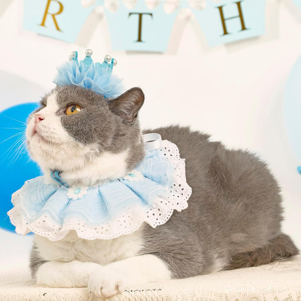 Cat Princess Costumes Cat Crown Hat & Lace Bandana Scarf Set, Puppy Party Hat for Small Dogs & Cats, Lace Outfit for Cats and Small Dogs Birthday Party (Blue)