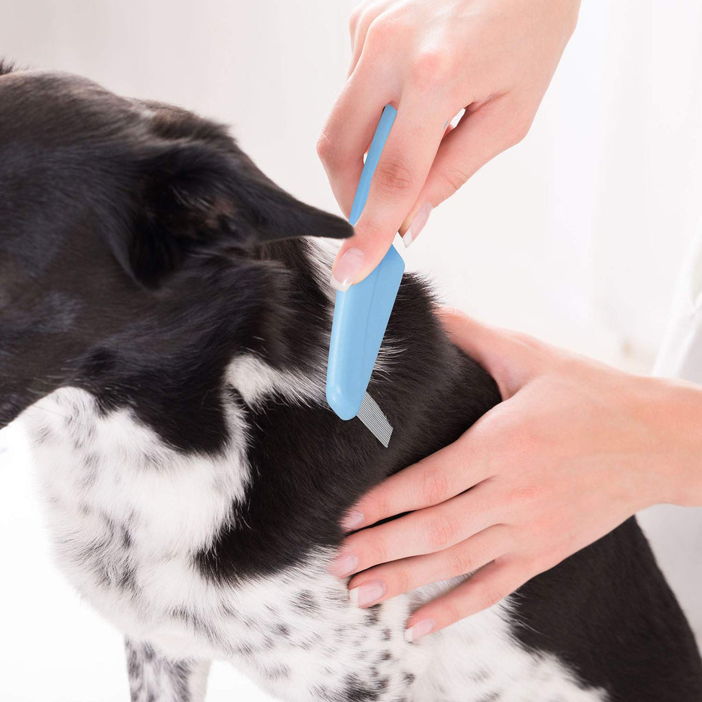 Flea Comb For Dogs & Cats Pet Comb Grooming Set 5 Pieces Metal Teeth Durable Remove Tear Stain Float Hair Combing tangled hair Dandruff Add Storage Pouch (Blue)