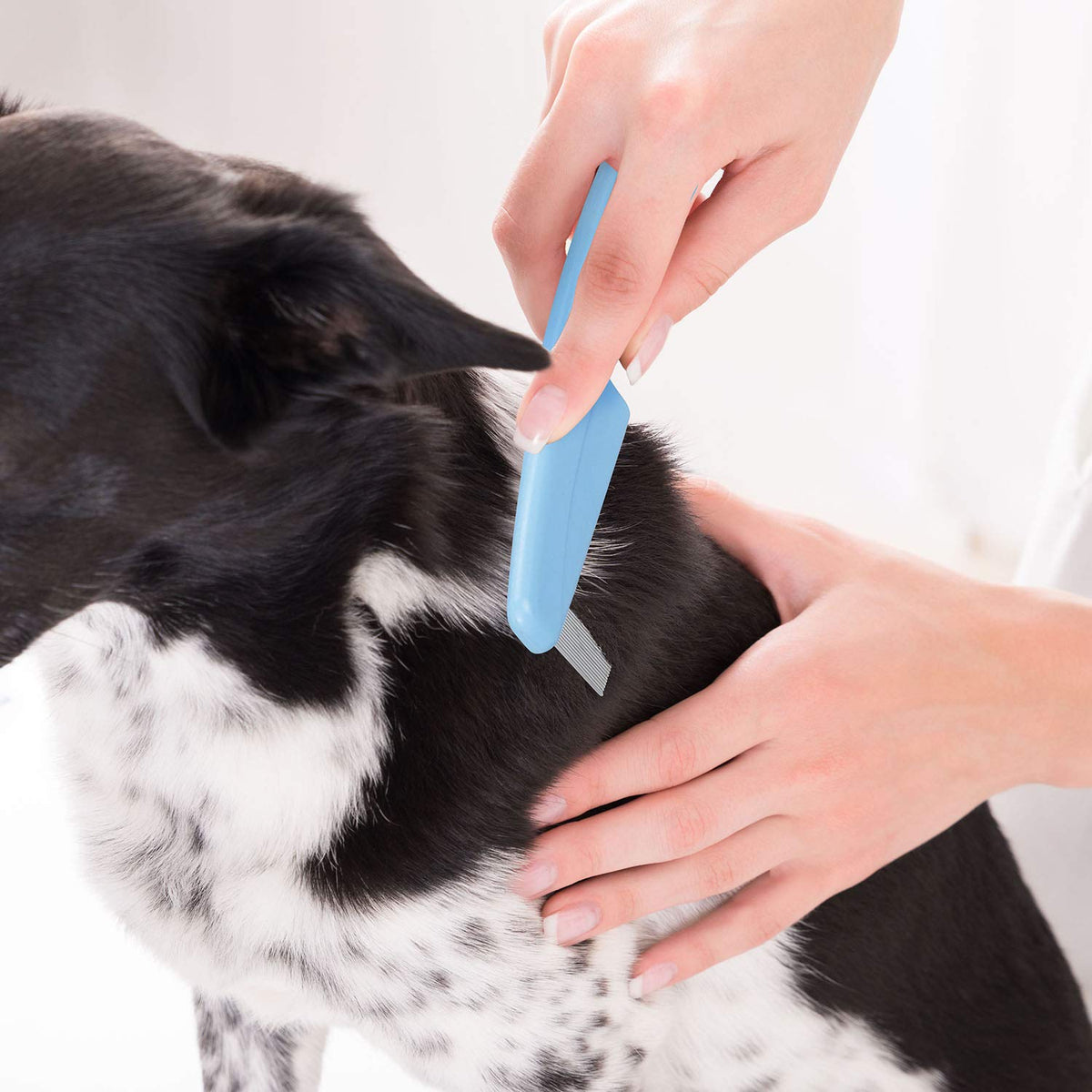 Flea Comb For Dogs & Cats Pet Comb Grooming Set 5 Pieces Metal Teeth Durable Remove Tear Stain Float Hair Combing tangled hair Dandruff Add Storage Pouch (Blue)