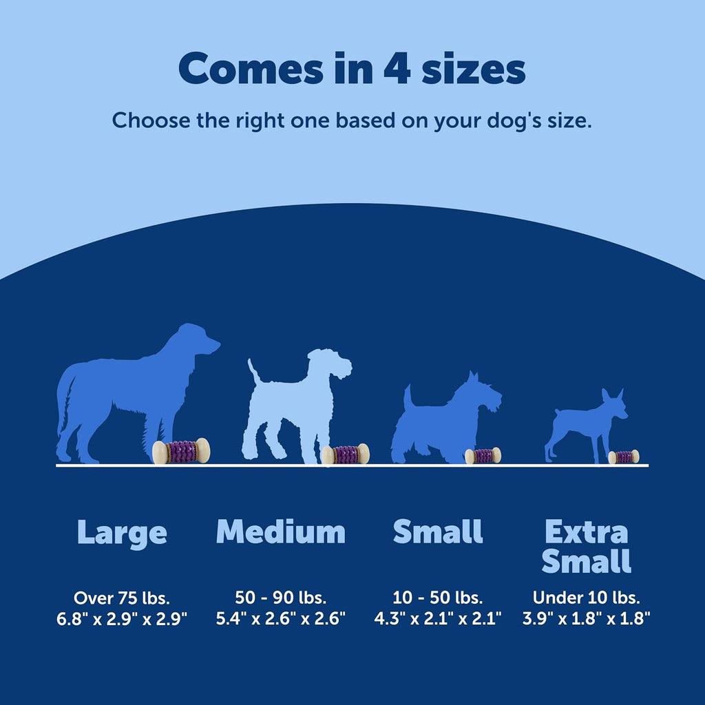 PetSafe Busy Buddy Nobbly Nubbly Treat Holding Dog Chew Toy, Medium