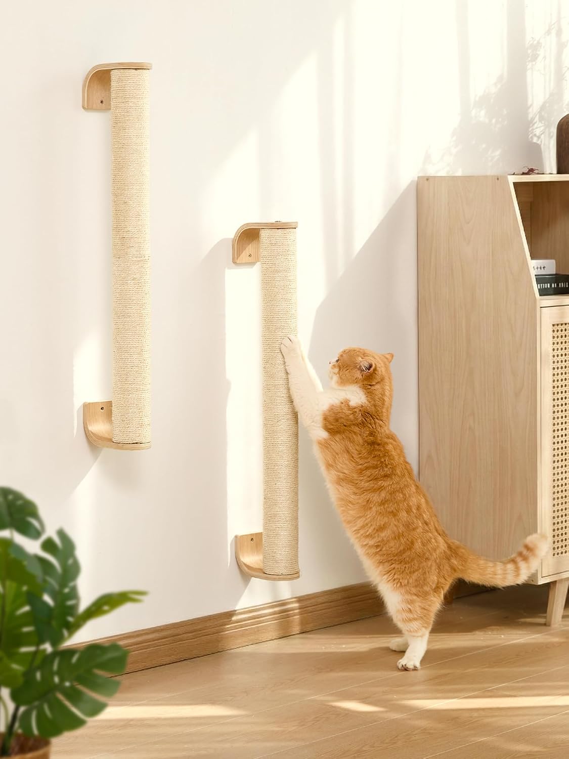 FUKUMARU Cat Wall Scratcher, 60" Tall Kitten Scratching Post