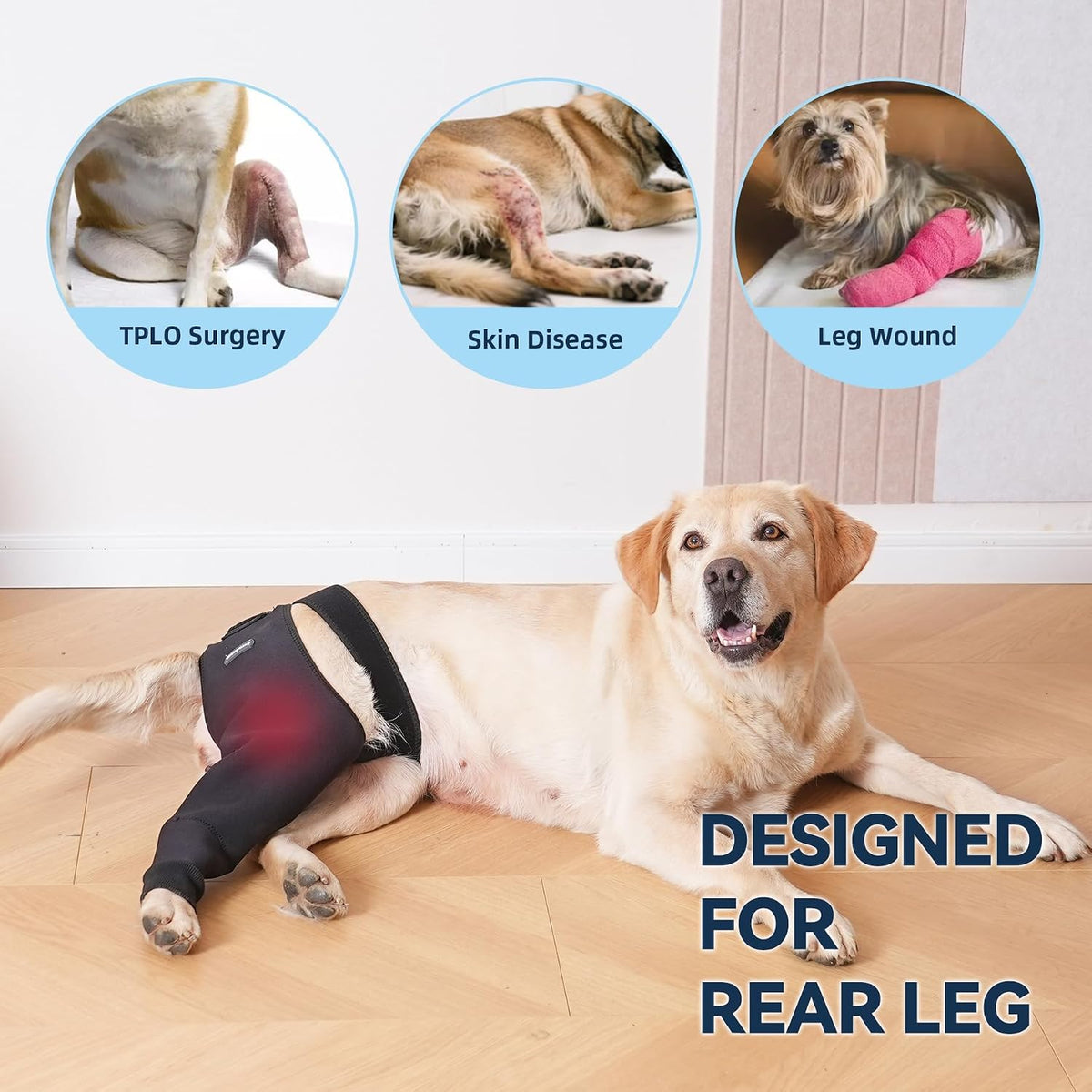 Single Dog Rear Leg Sleeve to Stop Licking, Breathable Dog Recovery Suit for Post Surgery, Comfortable Back Leg Sleeve for Wound Healing,Alternative to Cone Collars (2XLarge)