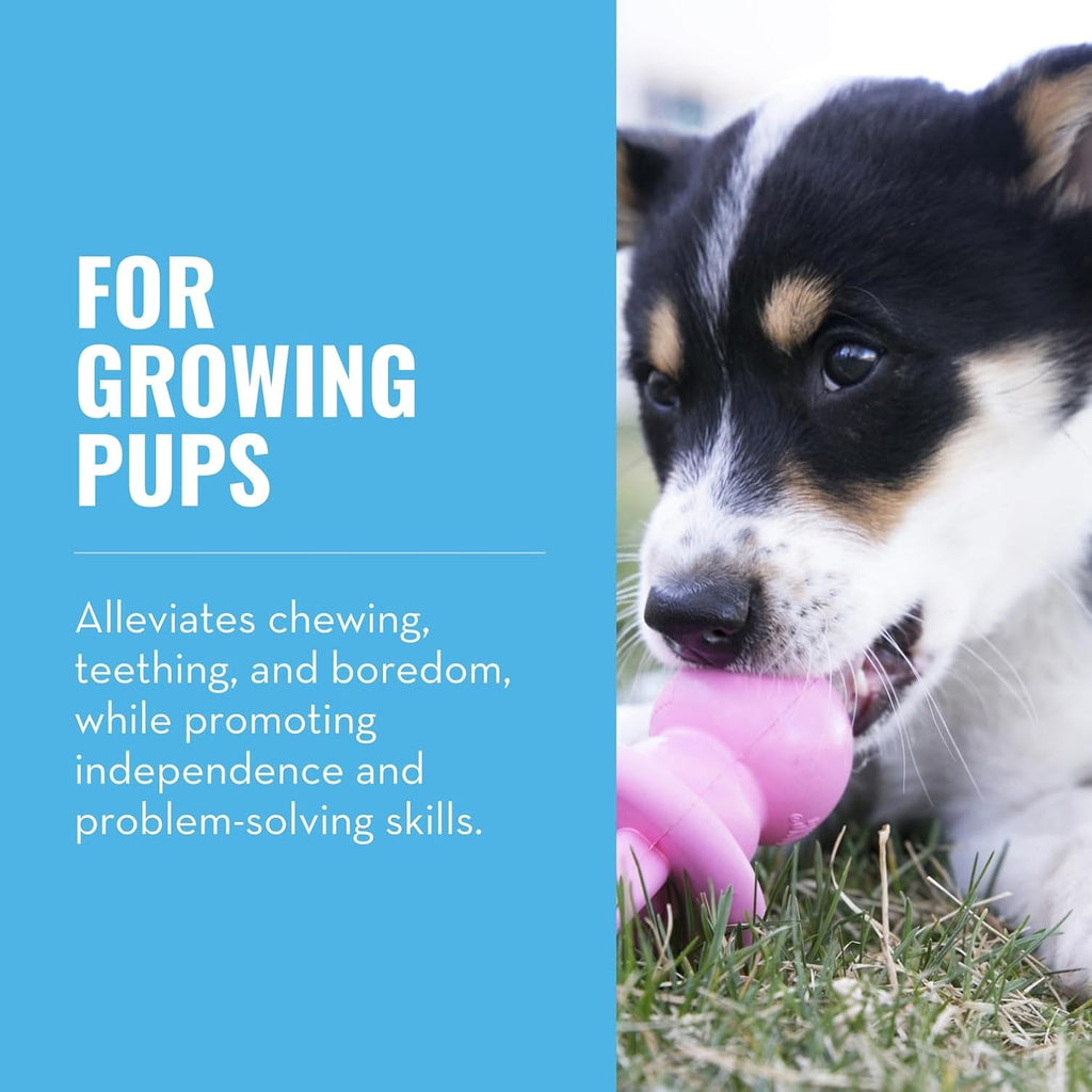 KONG Puppy Binkie, Natural Rubber Teething Toy, for Medium Puppies, Pink | Pacifier-Shaped Stuffable Rubber Toy That Soothes Sore Gums While Teething & Holds Treats to Keep Puppies Busy