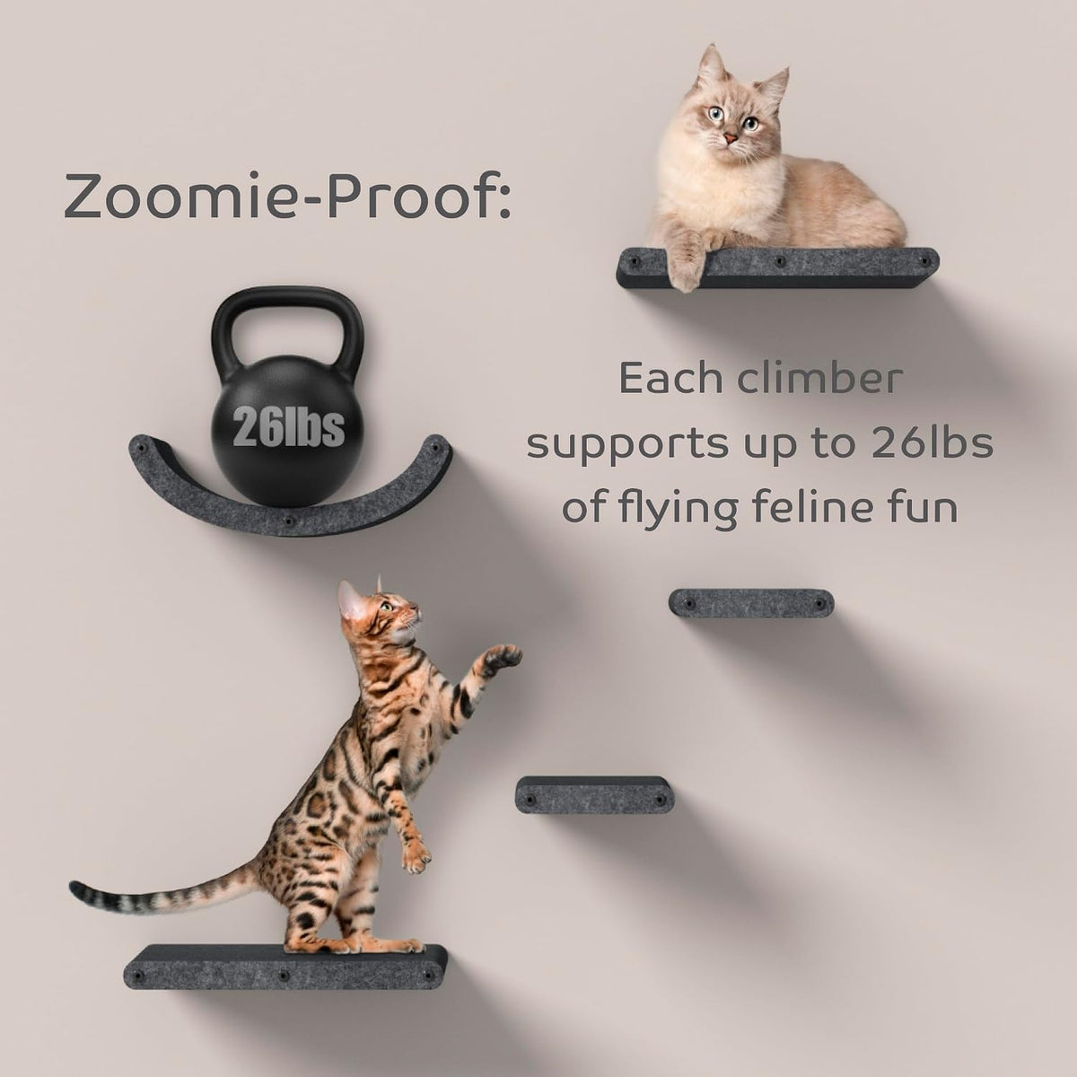 Cat Wall Shelf (Long) - Indoor & Outdoor by Pryde Pets