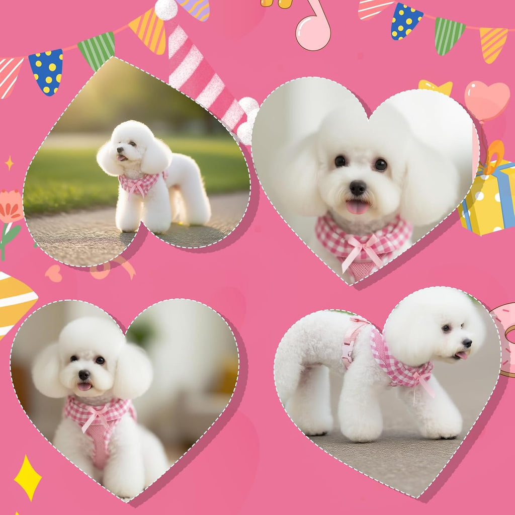 EXPAWLORER Step-in Dog Harness Small Sized Collar and Leash Set