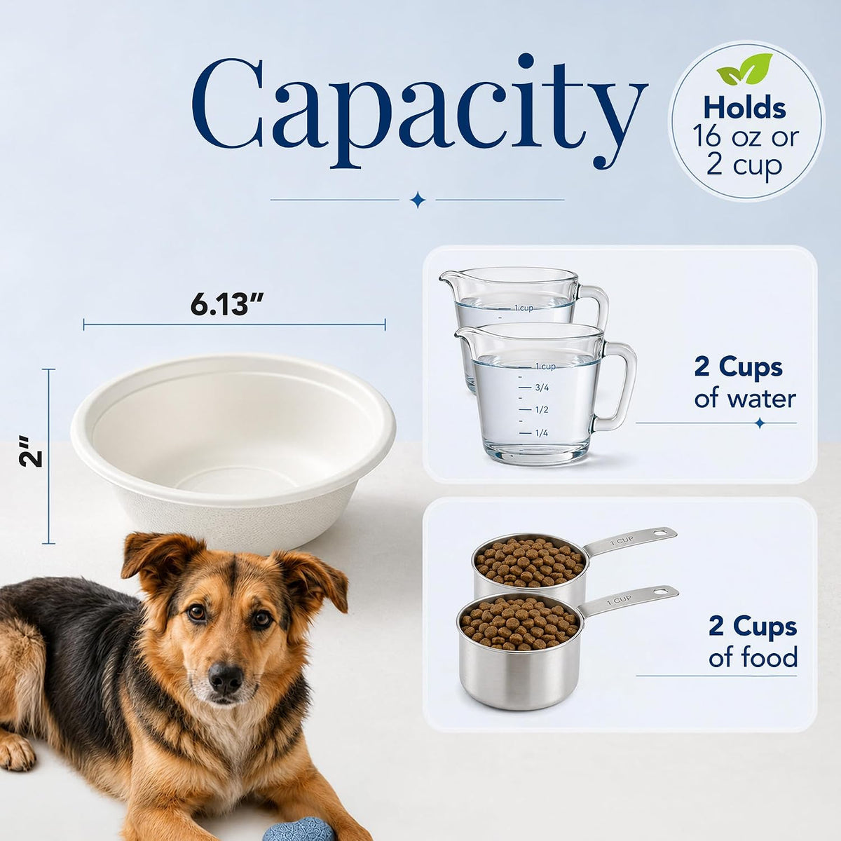 Kinn Kleanbowl Pet Bowl Stainless Steel Frame, 16 oz (Pack of 2) | Compostable Refills, Spill-Proof Stable, Disposable, Easy Cleaning, No Plastic 