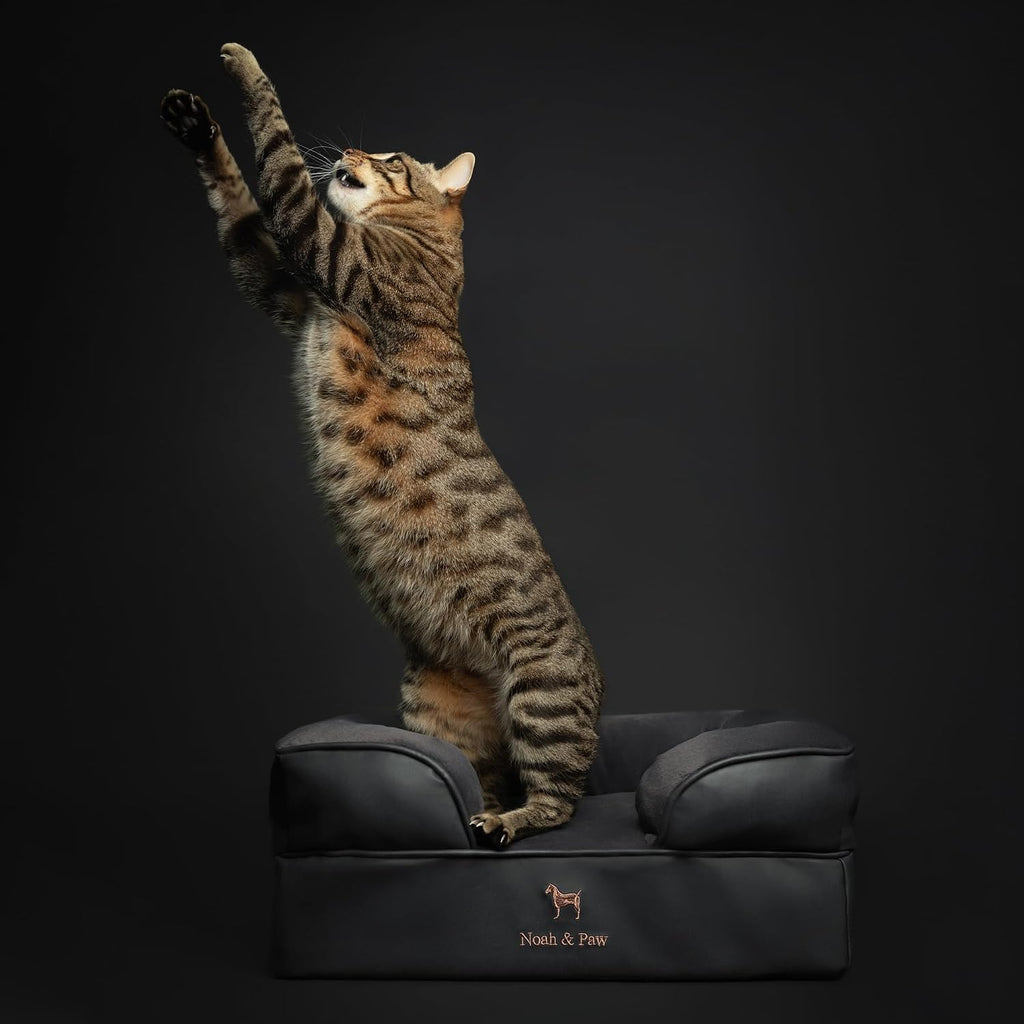 NOAH & PAW Cat Bed, XS Dog Bed, Orthopedic Memory Foam (2X Base) 20x15x8 in