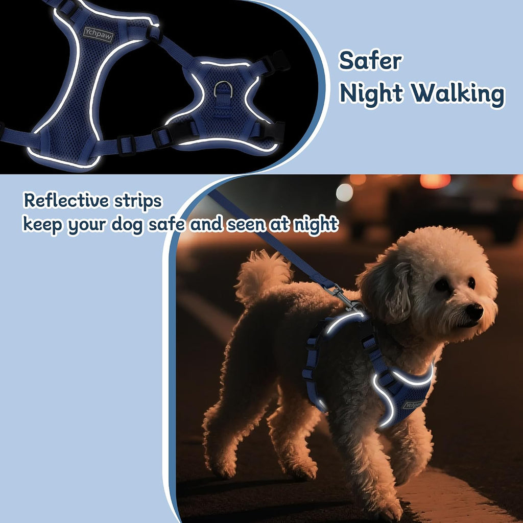 Small Dog Harness and Leash Set, Adjustable Small Sized Pet Vest
