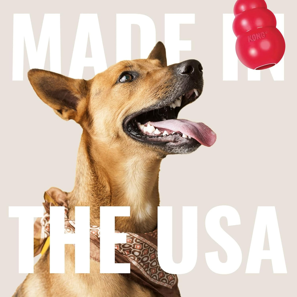 KONG Ring, Natural Rubber Chew Toy for Dental Health, for Extra Large Dogs | KONG Natural Rubber Ring Toy That Supports Healthy Chewing Habits, Dog Dental Health & Natural Play Instincts