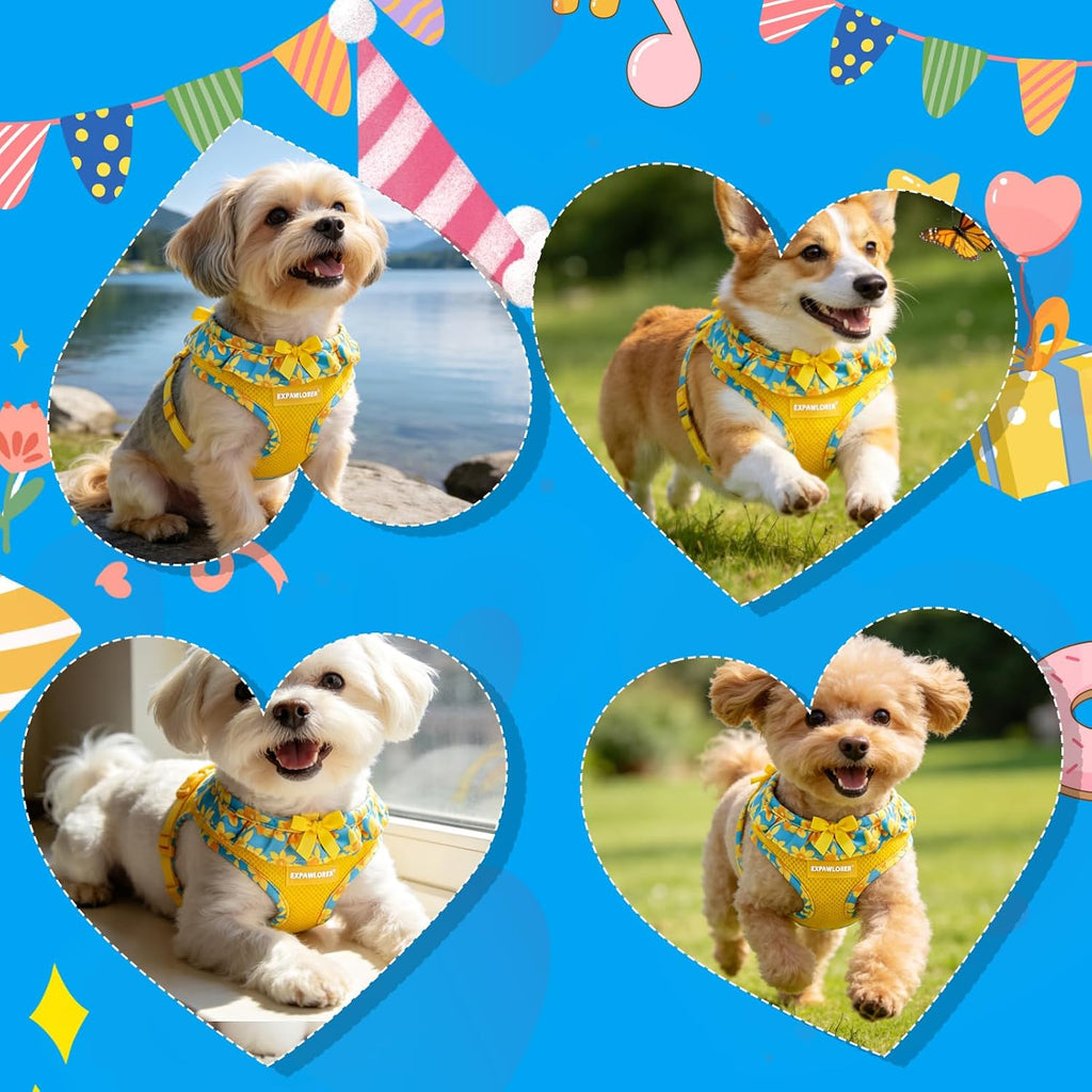 EXPAWLORER Step-in Small Dog Harness and Leash Set, Daffodil M