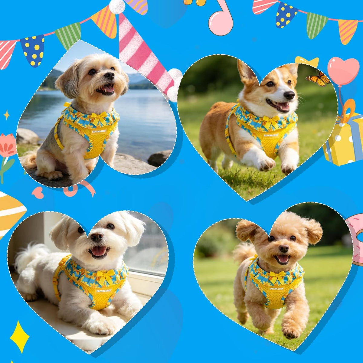 EXPAWLORER Step-in Small Dog Harness and Leash Set, Daffodil M