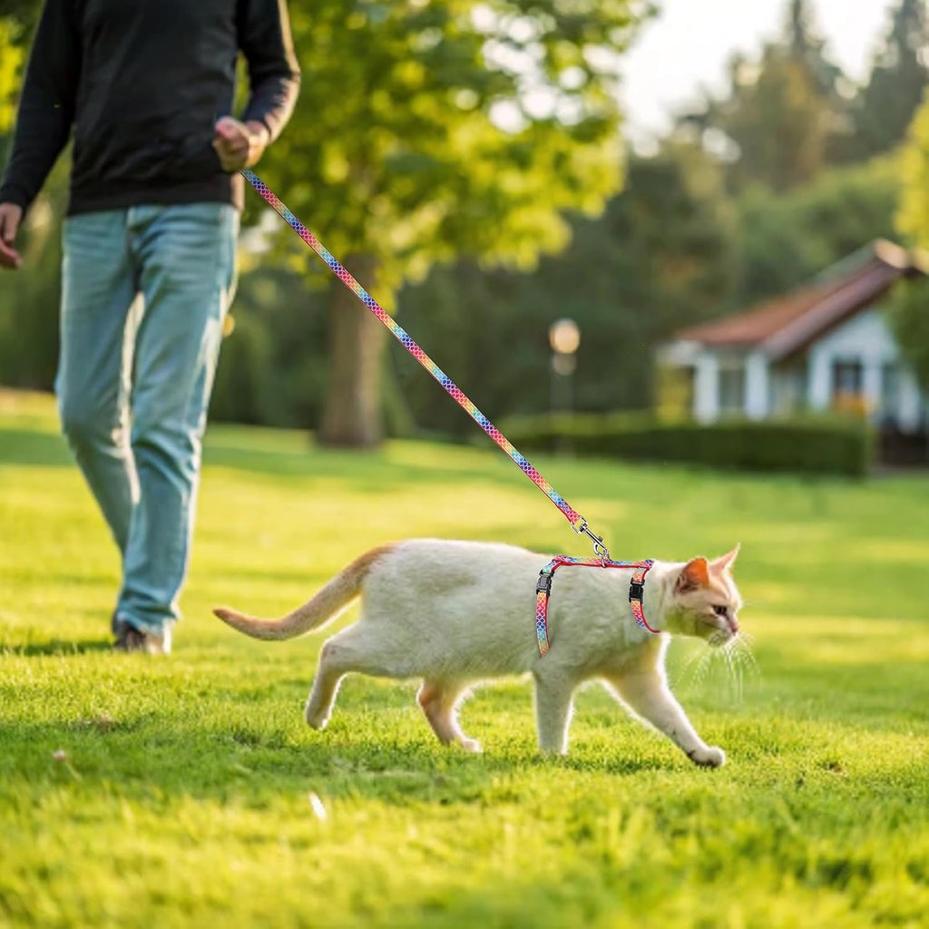PAWCHIE Cat Harness with Leash and Collar Set - Escape Proof Adjustable Glow in The Dark Cat Harness for Kitty Outdoor Walking Multicolor