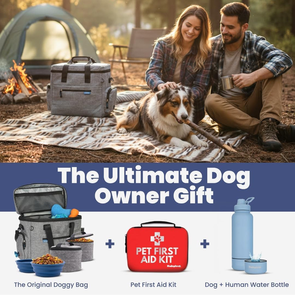 Original Doggy Bag™ Dog Travel Bag for Supplies with Travel Bowls | 2 BPA-Free Collapsible Bowls, 2 Pet Food Containers, TSA-Ready, Road Trips, Camping, Weekend Getaways, Doggy Gift, Grey 