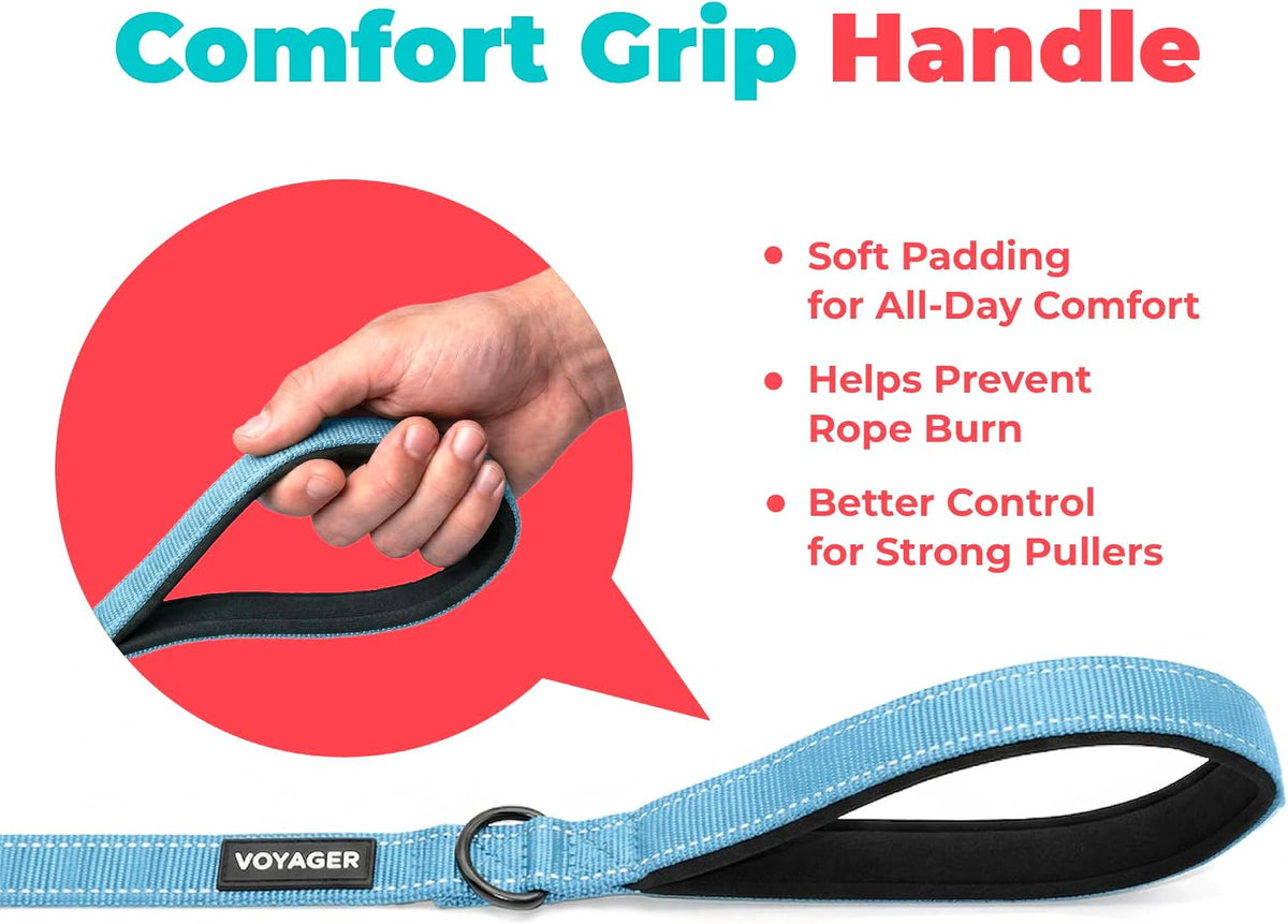 Best Pet Supplies Voyager Nylon Dog Leash - Baby Blue, Medium