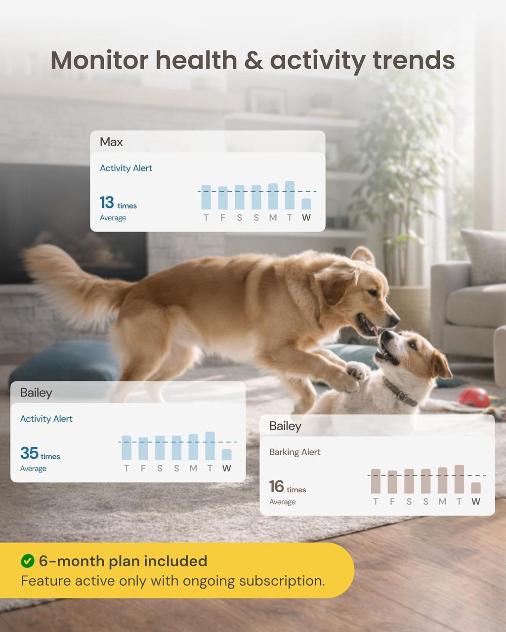 Furbo 360° Dog Camera [6-Month Subscription Included]