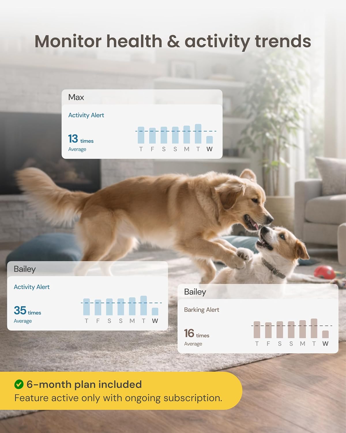Furbo 360° Dog Camera [6-Month Subscription Included]