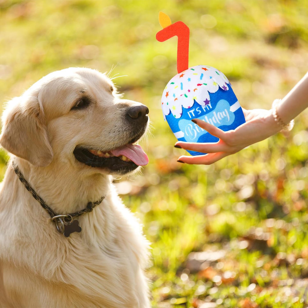 Dansydaisy Dog Birthday Cake Toy Squeaky Plush Gift,7th,Blue | Interactive Squeaky Gift for Dogs, Dog Birthday Decor , Soft Chew for Small Medium Large Pets, Cake Design with Candle