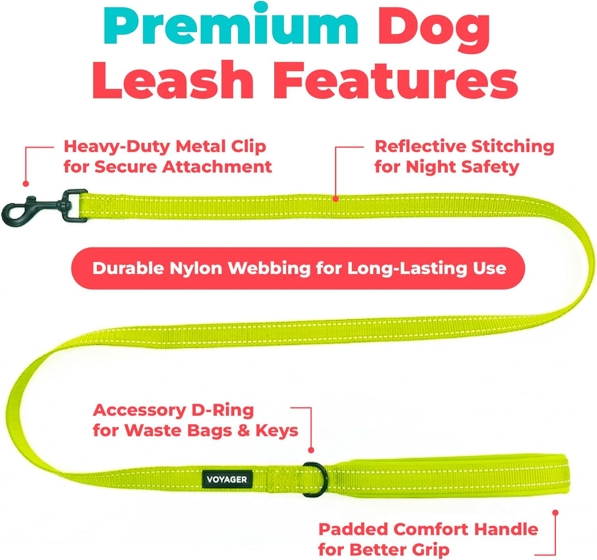Best Pet Supplies Voyager Nylon Dog Leash - Lime Green, Small