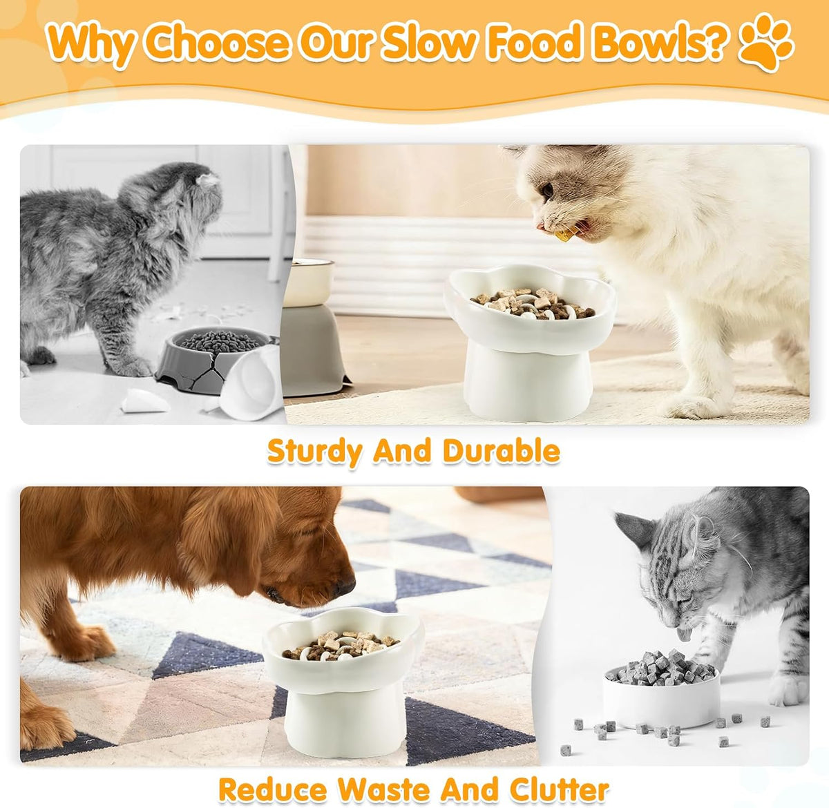 Cat Slow Feeder Bowl Set,1 Pcs Pastel Series Cat Plate for Dry and Wet Food