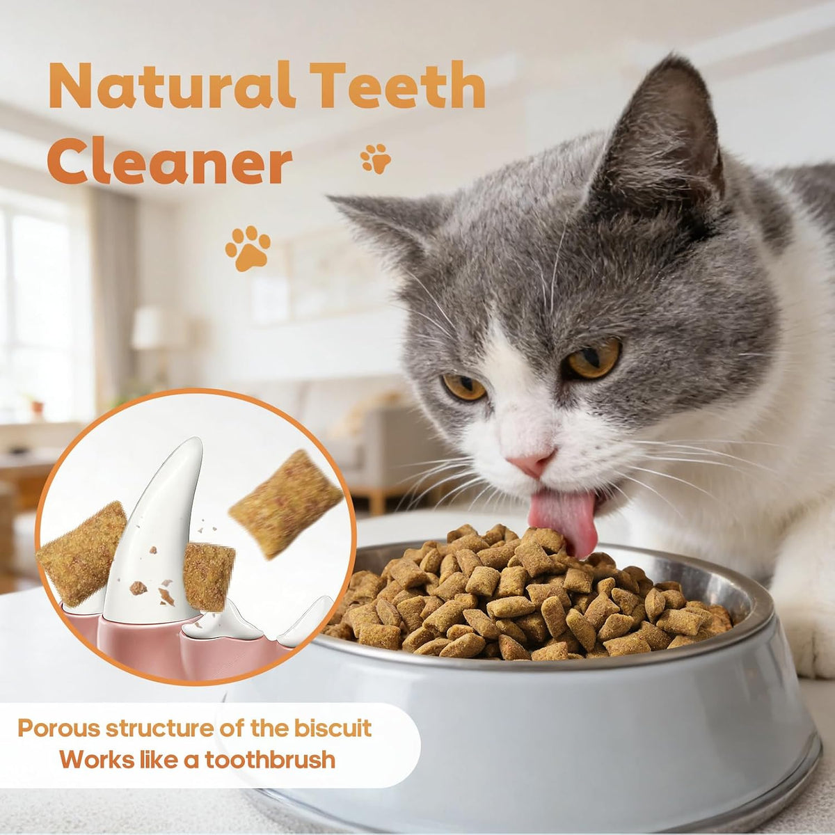 13.4 OZ Crunchy Cat Treats for Indoor Cats Classic Crunchy and Soft Kitten Snack with Real Chicken Training Biscuits for Teeth Cleaning Feline Snacks Tasty Catnip Flavor