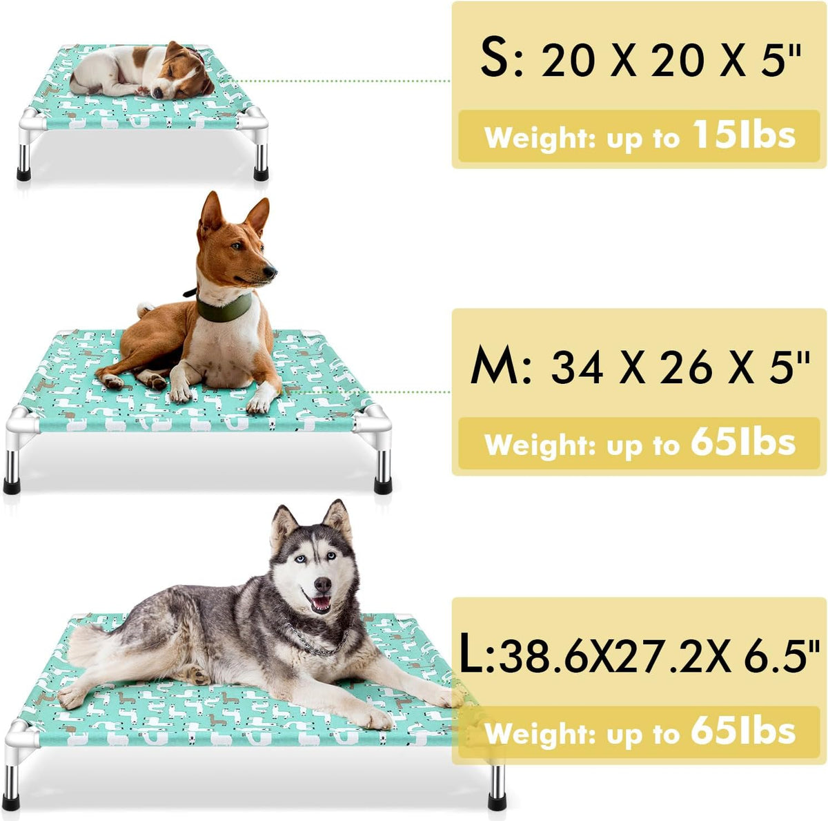Elevated Dog Bed Pet cot for Small Dogs, Indoor and Outdoor Use