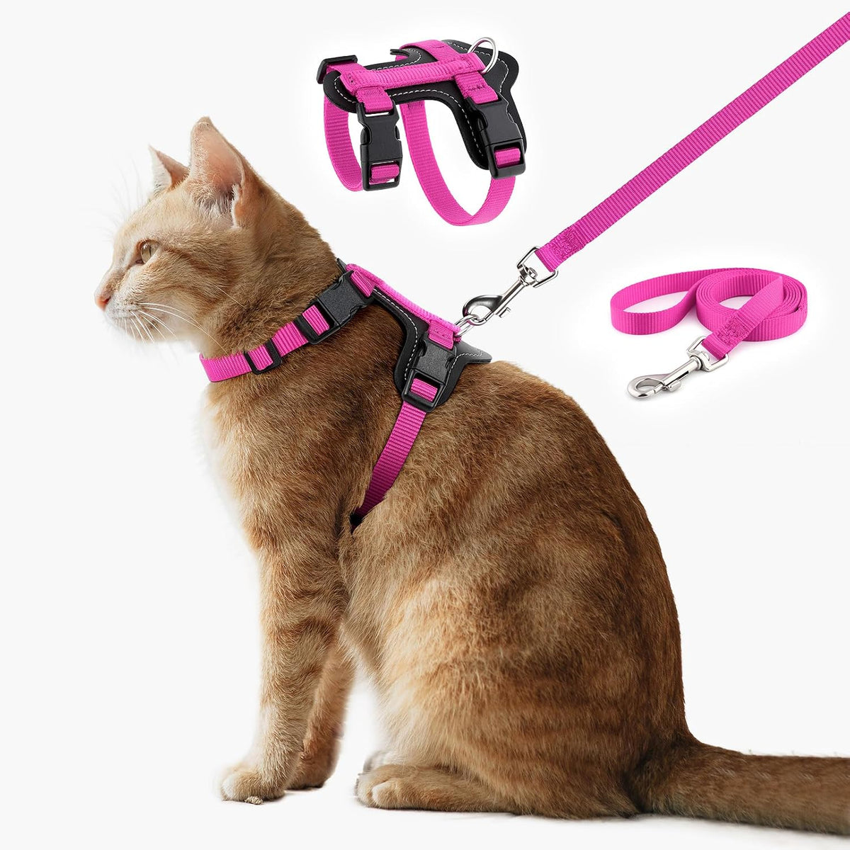 Plutus Pet Adjustable Cat Harness and Leash Set, with Leather Trim