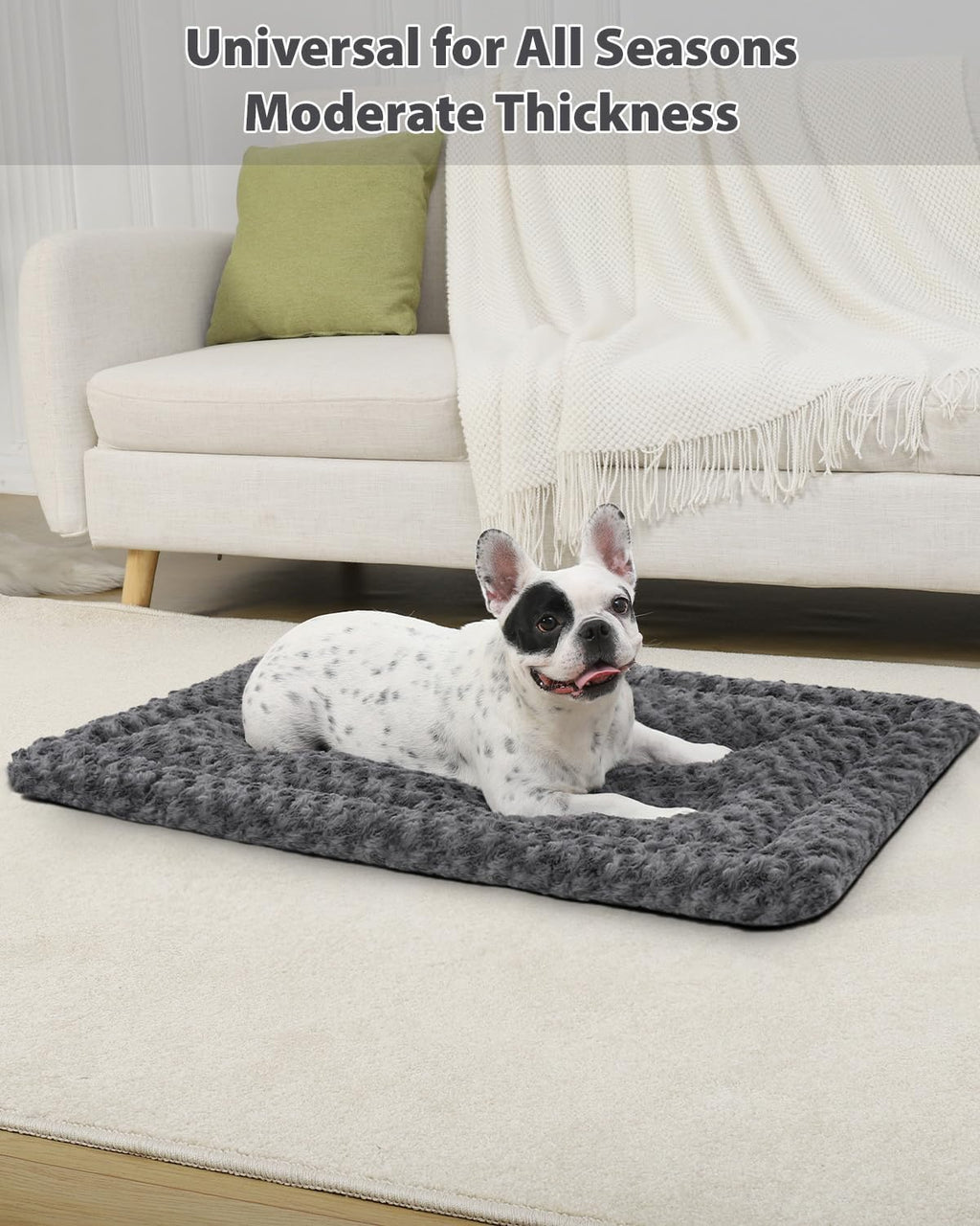 Exsnugy Washable Dog Bed Mat Medium Size Fluffy Pet Crate Pad 30x19