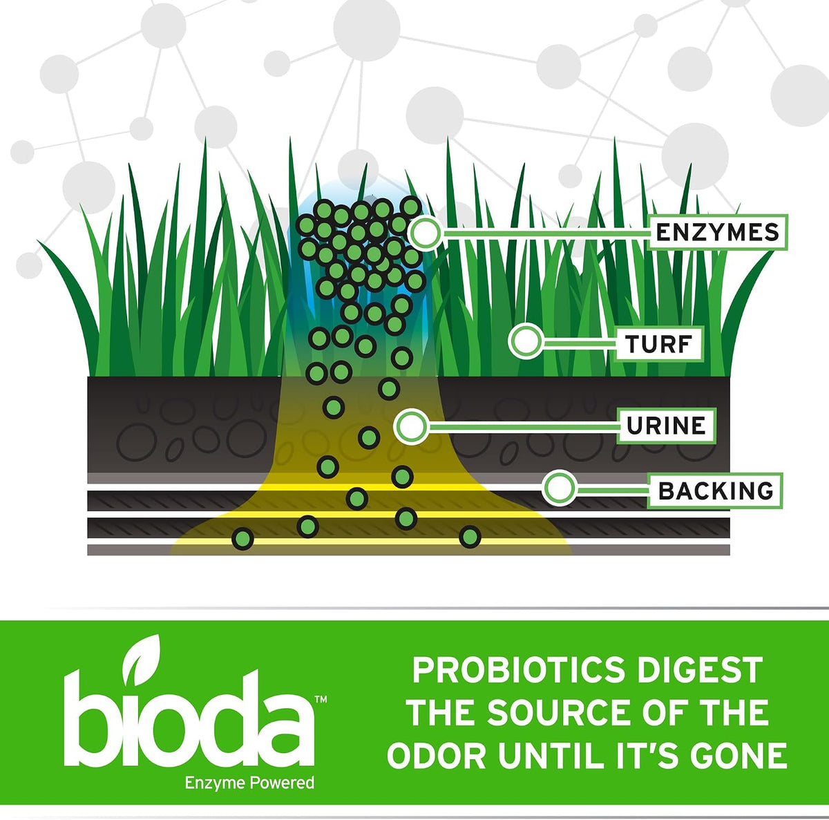 Bioda Probiotic Natural Outdoor Odor Eliminator, 32 oz Spray Bottle, Enzyme