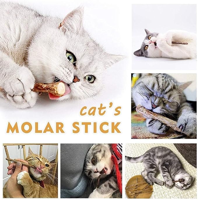 AILUKI 35PCS Cat Toys Variety Pack for Indoor Cats, Kitten Toys Cat Tunnel | Kitten Toys for Indoor Kittens Cat Toy Bundle Set with Feather Wand, Plush Mice, Crinkle Balls & Interactive Cat Toys Bundle