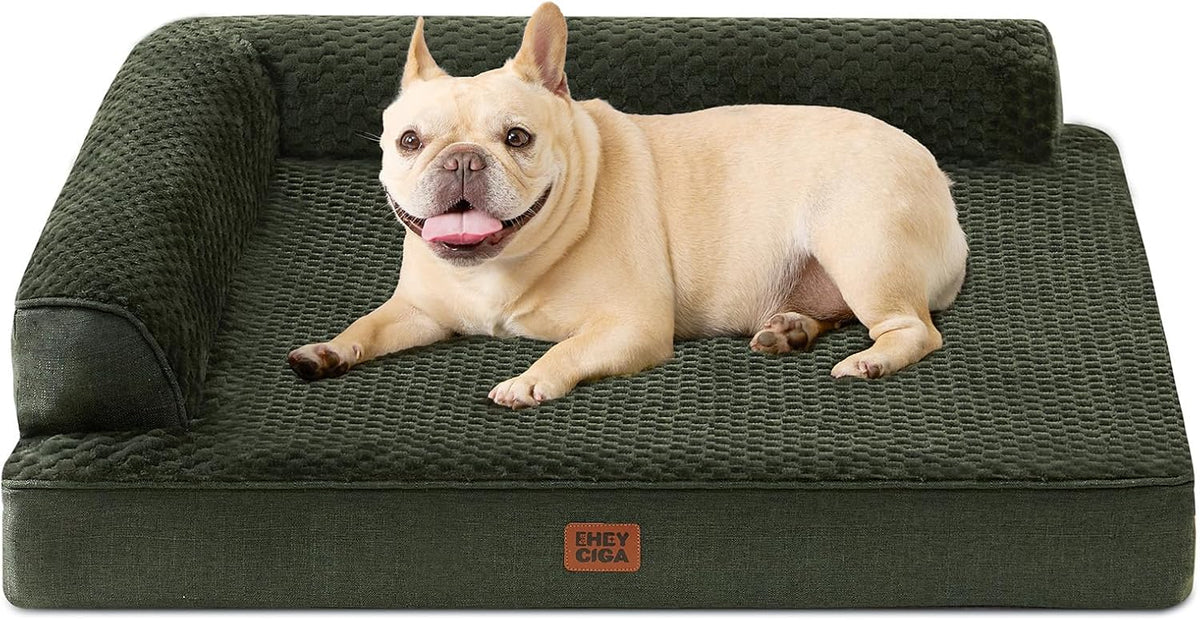EHEYCIGA Orthopedic Dog Bed Medium Size, Memory Foam Dog Bed, Dark Green