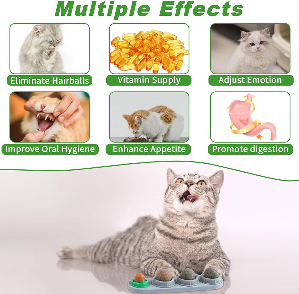 CCINEE Catnip Balls for Cats Wall Catnip Toys Edible Cat Toys for Cat Lick Safe Healthy Kitten Chew Toys Teeth Cleaning Dental Cat Toys(4 Flavor)
