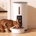 NEWBULIG Automatic Cat Feeder with APP 4L Small Dog Food Dispenser, White