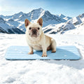 Dog Cooling Mat, 30" x 20" Non-Slip Self-Cooling Summer Pet Mat