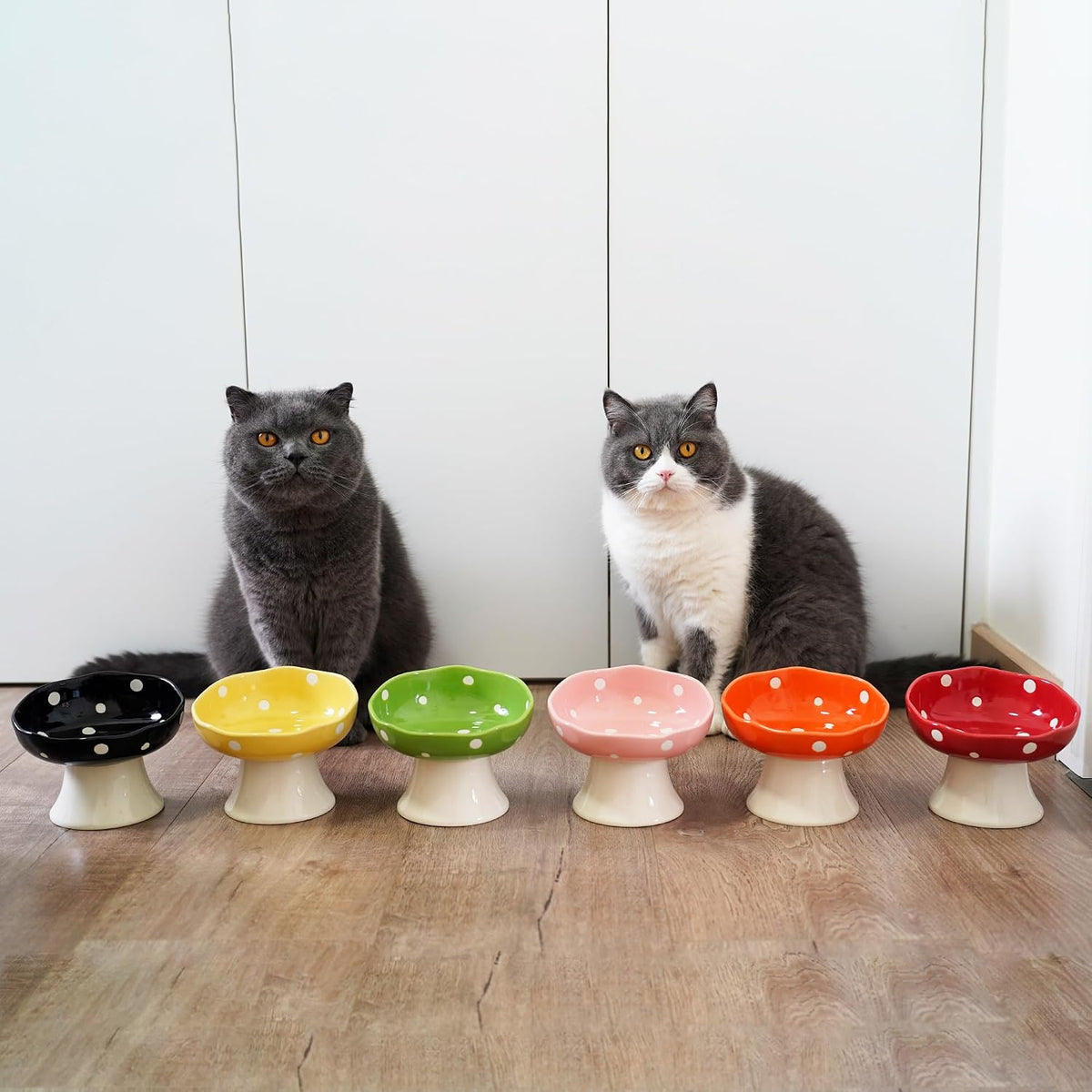 Black Mushroom Cat Bowl, Elevated Ceramic Bowl for Cats | Elevated, Ceramic, Whisker Friendly, Anti Vomitin,Cute Mushroom Design