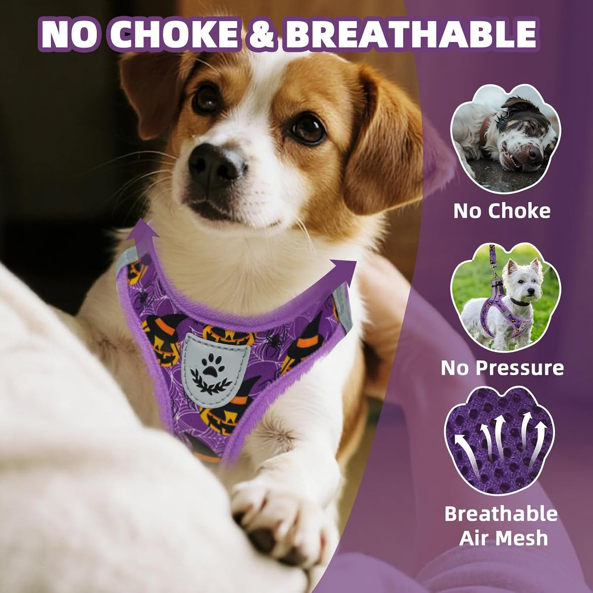 PAWCHIE Halloween Dog Harness and Leash Set, Step in No Pull Soft Pet Harness, Reflective Adjustable Puppy Vest for Medium Dogs,No Choke Harness Vest with Poop Bag Holder for Walking,Running,Purple M