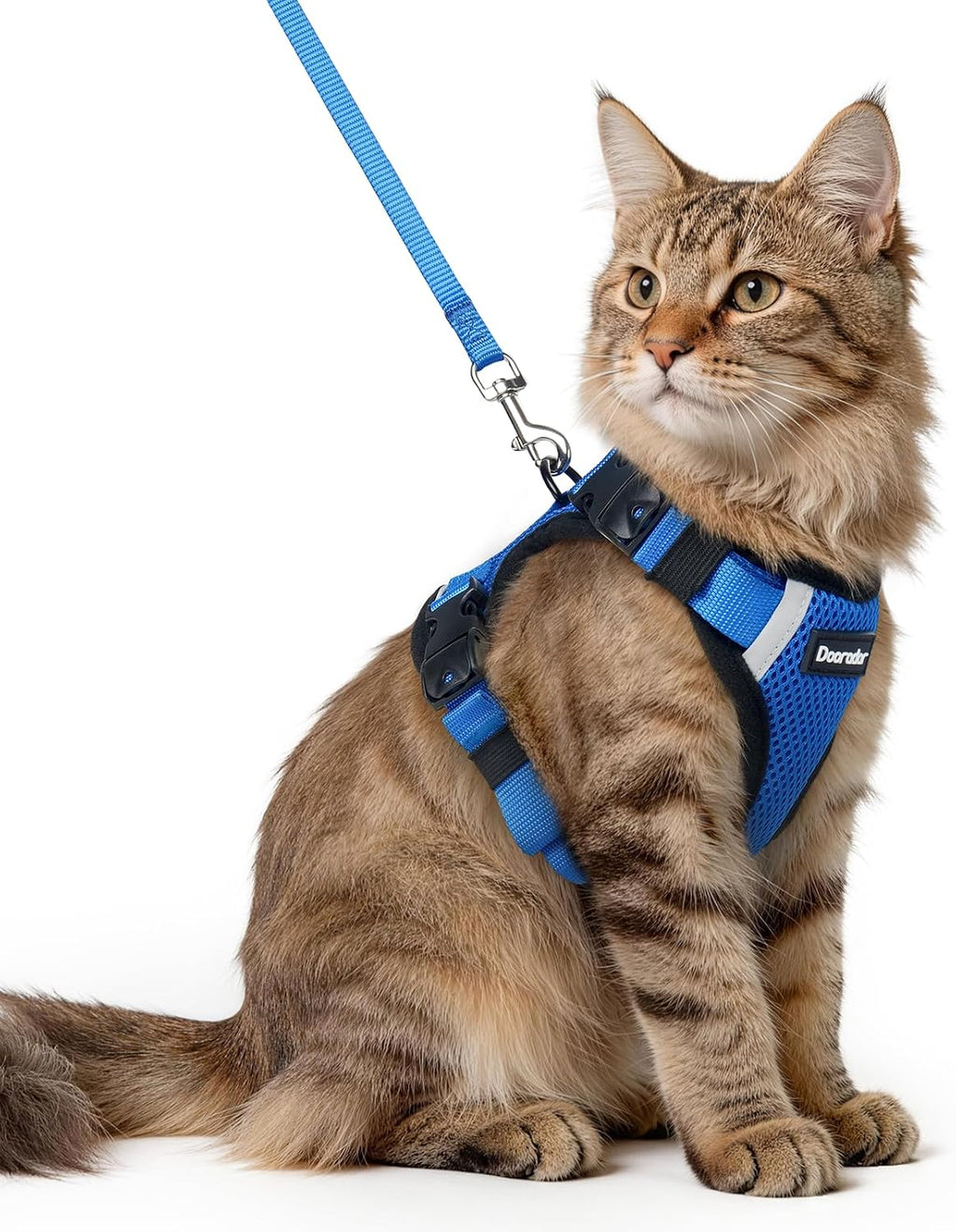 Dooradar Cat Harness and Leash Set with Neck Release Buckle, Royal Blue