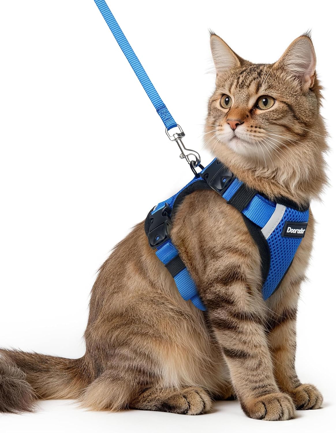 Dooradar Cat Harness and Leash Set with Neck Release Buckle, Royal Blue