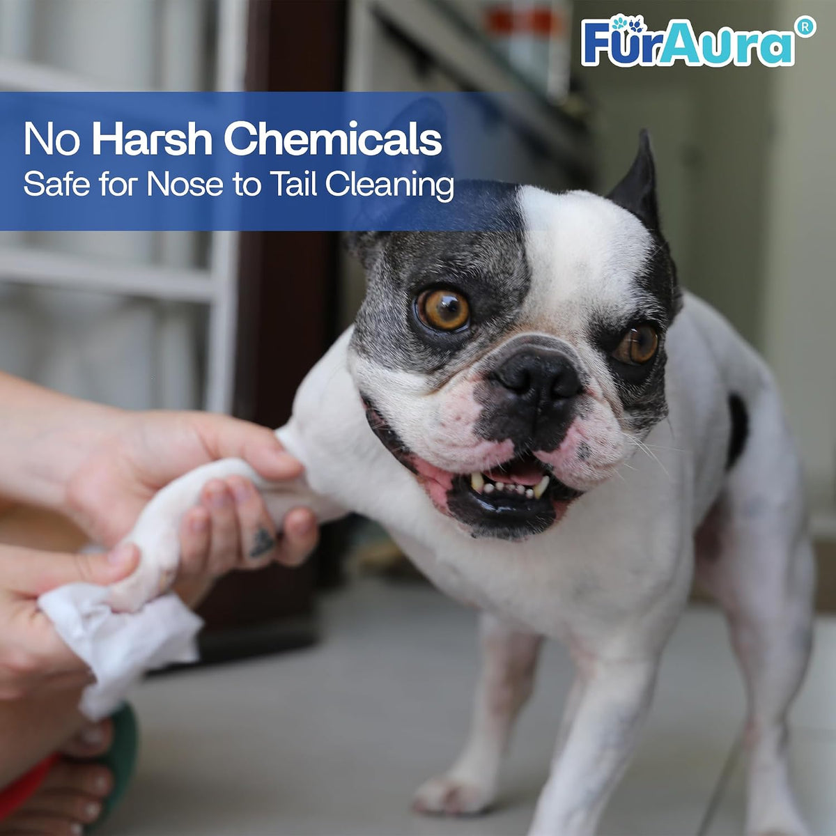 99% Water Dog Wipes for Sensitive Skin, Unscented, 8 x 8 Inch