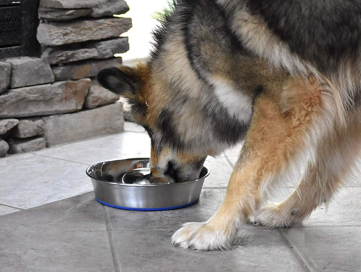 OurPets DuraPet Slow Feed Premium Stainless Steel Bowl (Heavyweight Durable Stainless Steel Bowls, Dog Food Bowl, and Dog Water Bowl) Great Alternative to Snuffle Mat for Dogs-Medium | Helps pace rapid eaters, durable easy clean design, an alternative ...