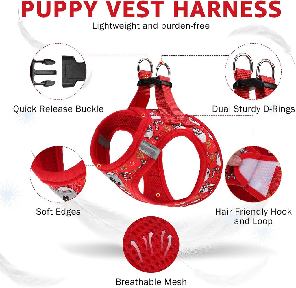 SCENEREAL Christmas Small Dog Harness Collar and Leash Set, Step-in No Pull