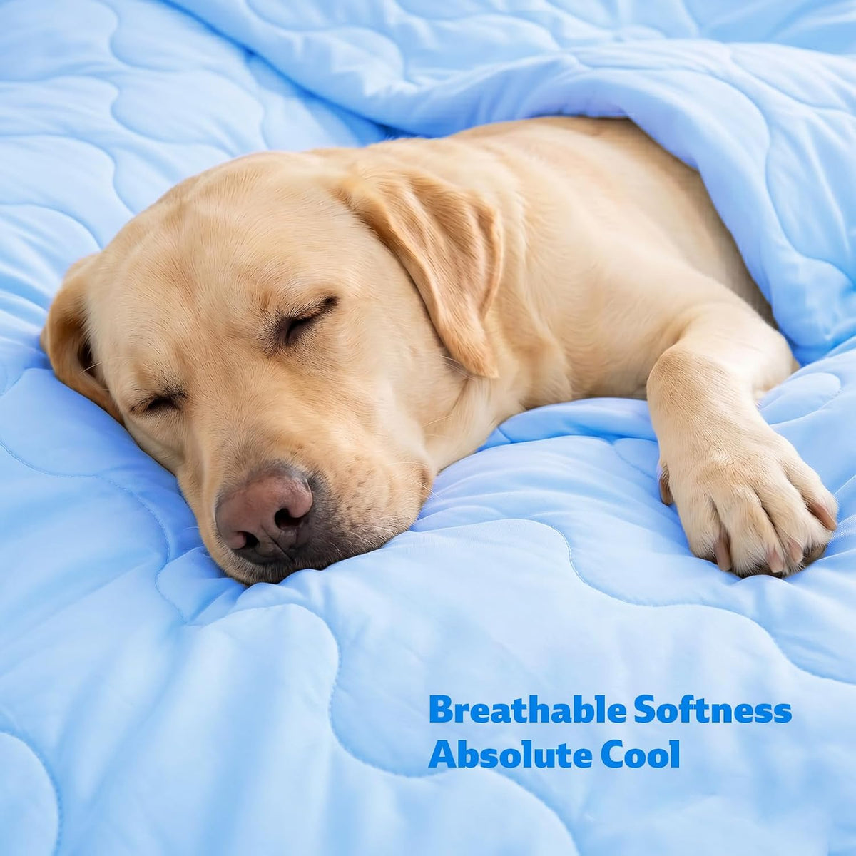Cooling Blanket for Dogs, Dog Blankets for Large Dogs, Q-MAX > 0.5 Cold Washable Dog Blanket, Soft Durable Self Cooling Cat Mat for Hot Weather, Blue 40x50