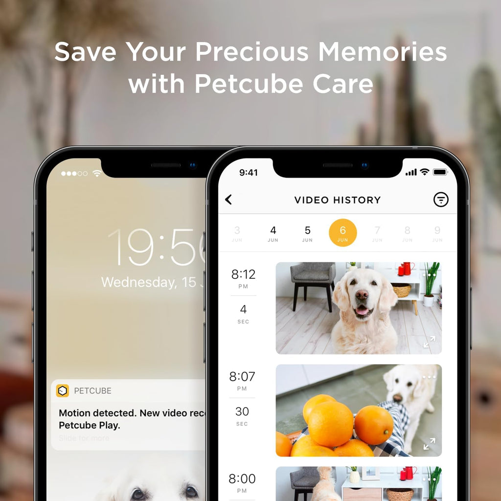 Petcube Bites 2 Lite Pet Camera [Subscription Required] - Treat Dispenser