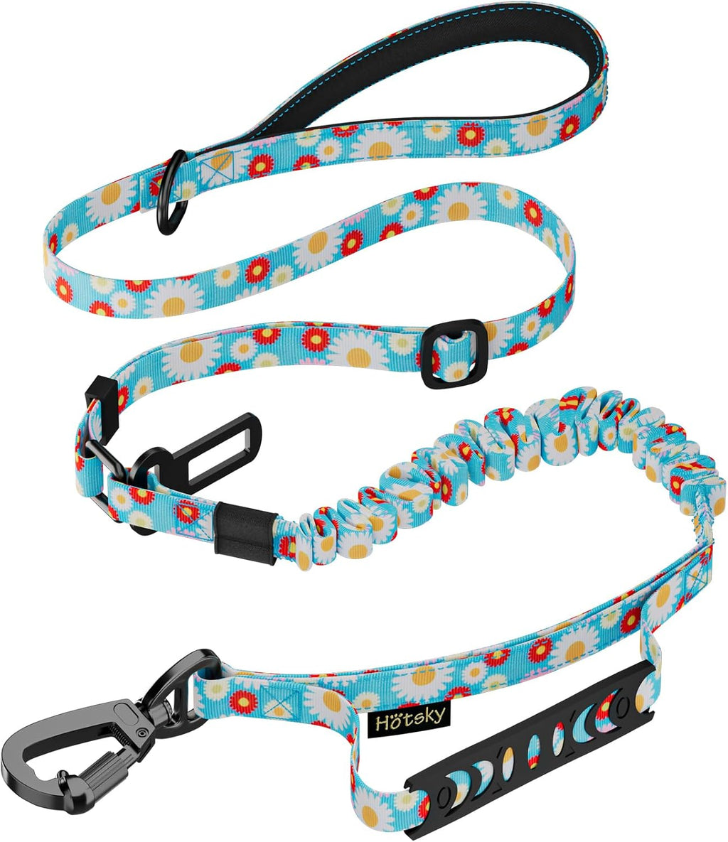 Hotsky Tactical Bungee Shock Absorbing No Pull Strong Dog Leash,Daisy,4-6FT
