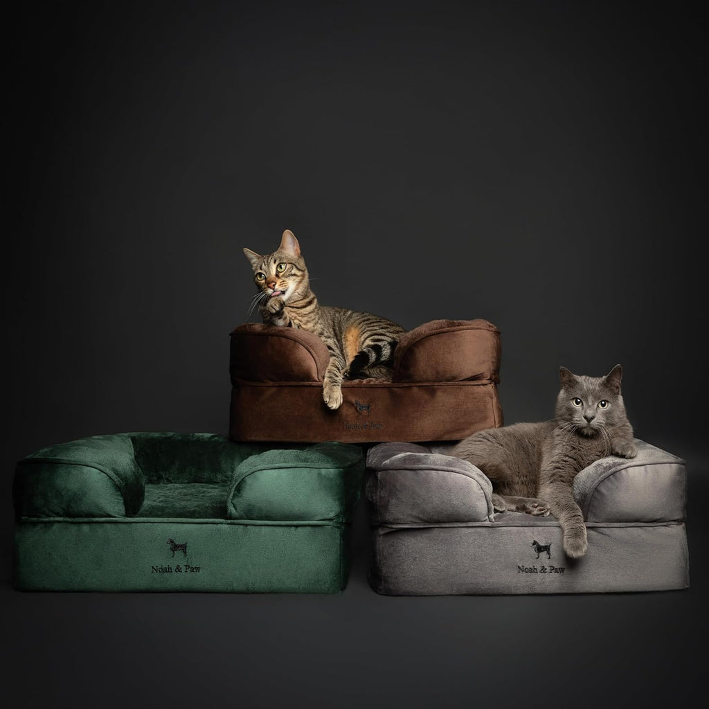 NOAH & PAW Large Dog Bed, Orthopedic Memory Cooling Foam (2X Base) 45x35x11