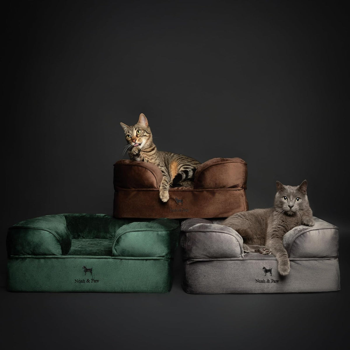 NOAH & PAW Large Dog Bed, Orthopedic Memory Cooling Foam (2X Base) 45x35x11