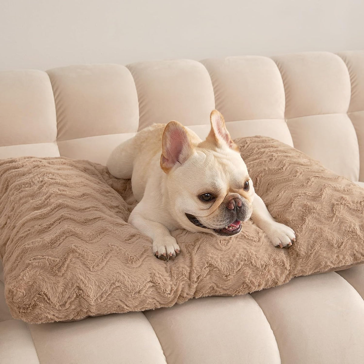 EHEYCIGA Washable Dog Beds Medium Sized Dog, 29x21 Inch Pet Bed, Camel